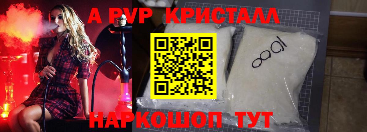 Альфа ПВП СК Королёв